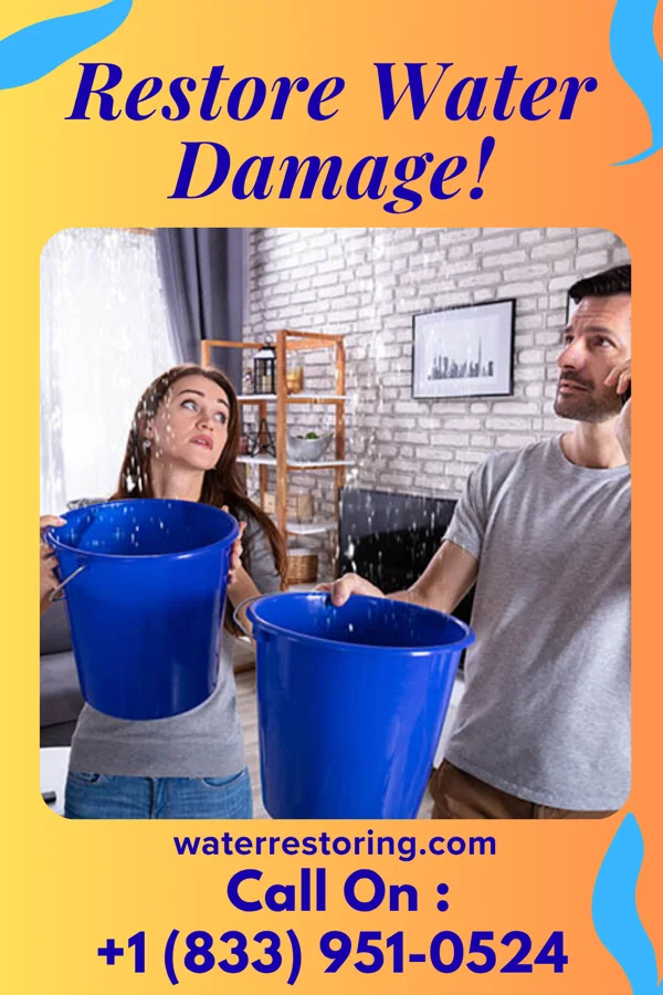 water restoration Precision Extraction & Associates Sagamore